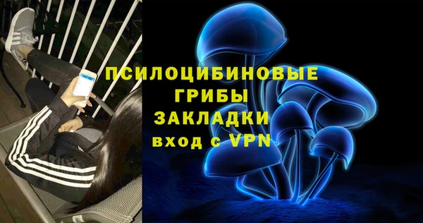 мяу мяу мука Аркадак