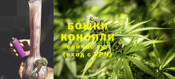 стаф Рославль